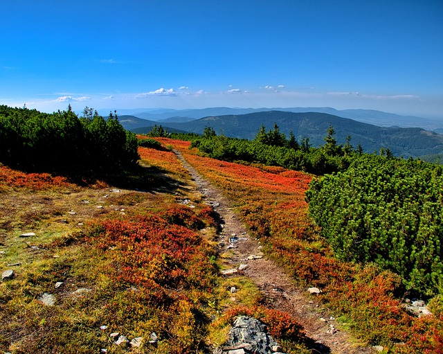 pohled na Beskydy
